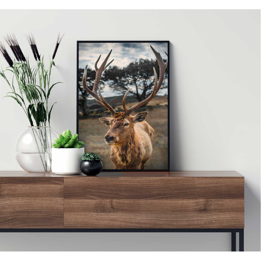 Vacker ren - Skandinaviskt djurmotiv