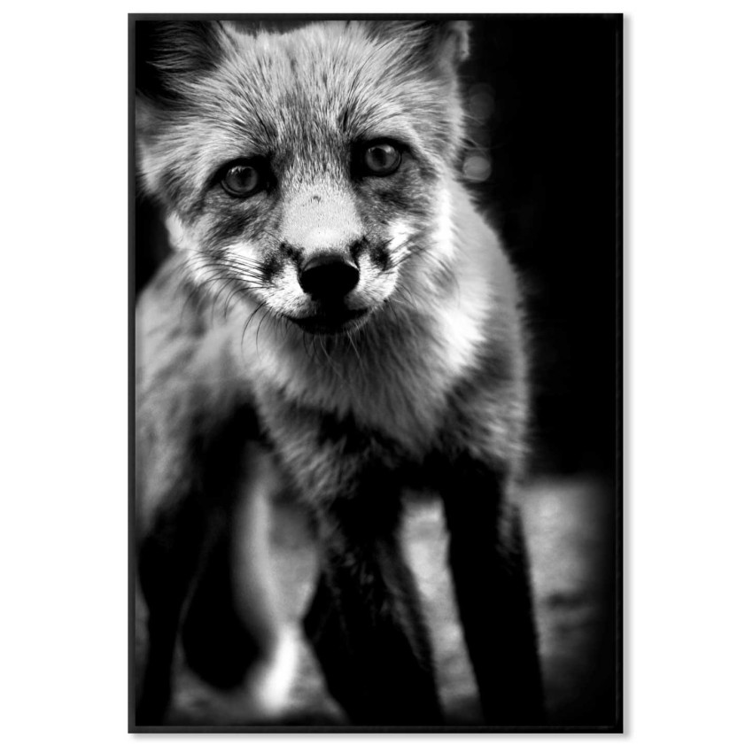 Foxy fox - Trendy poster
