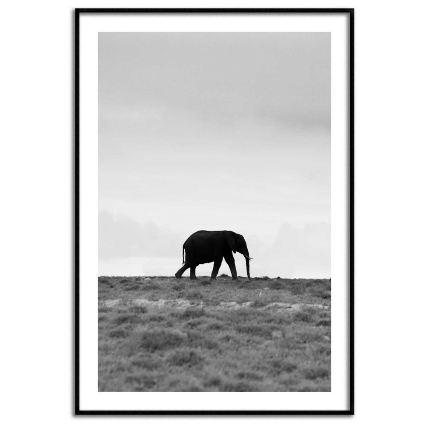 Elephant in Africa - Black and White Poster