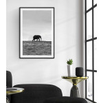 Elephant in Africa - Black and White Poster