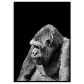 Gorilla i profil - Svartvit poster