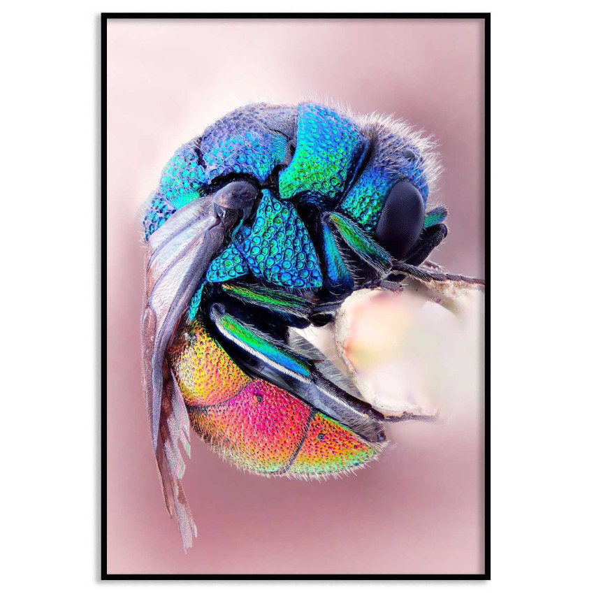 Färgglatt bi - Insekt poster i sköna färger