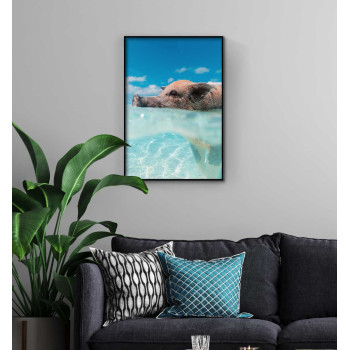 Gris i exotiskt vatten - poster