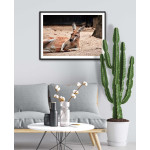 Cute animal kangaroo - Simple kids poster