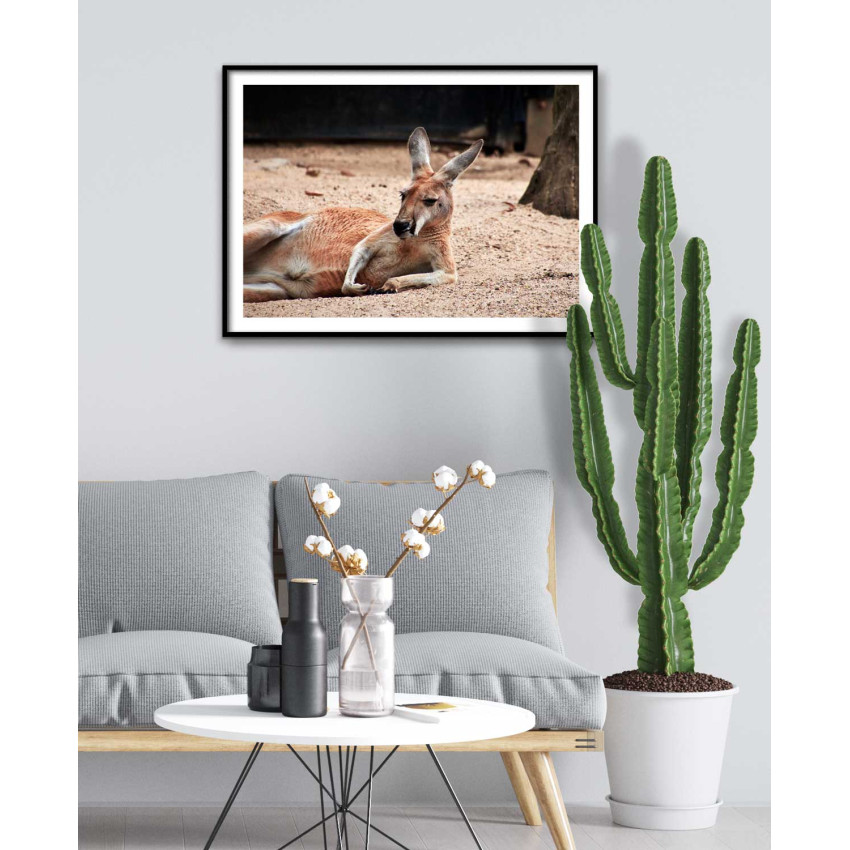 Cute animal kangaroo - Simple kids poster