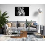 Lion portrait - Black and White Poster