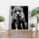 Foxy fox - Trendy poster