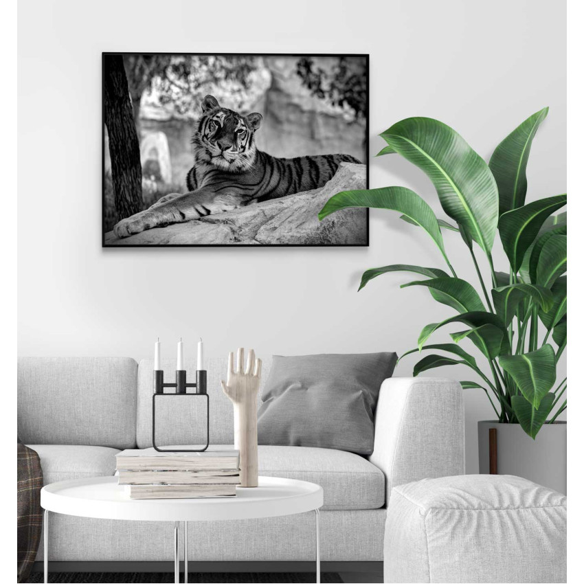 Big Tiger BW - Poster