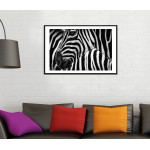 Zebra i Afrika - Svartvit Enkel Poster