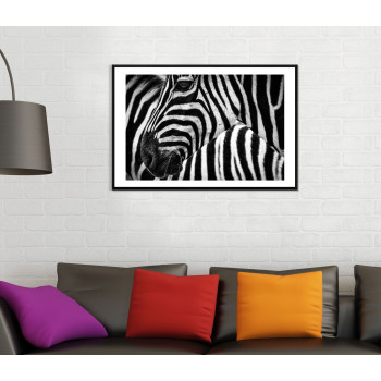 Zebra in Africa - Simple Black and White Poster