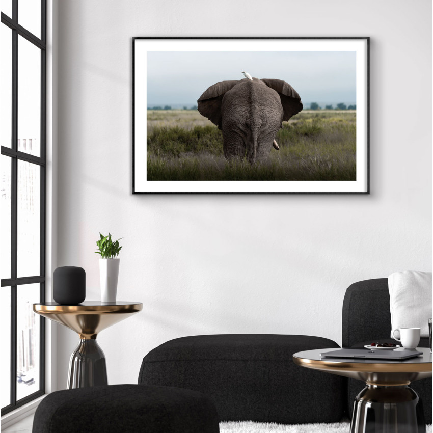 Enkel elefant p&aring; savannen - Affisch