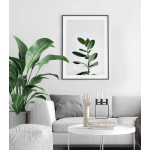 Enkel Poster med Grön Krukväxt och Vit Bakgrund