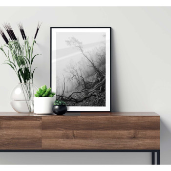 Enkel naturbild - Svartvit simpel poster