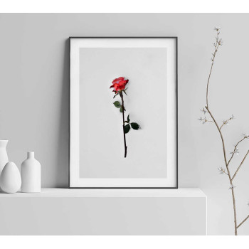 Enkel Poster med Röd Ros och Vit Bakgrund