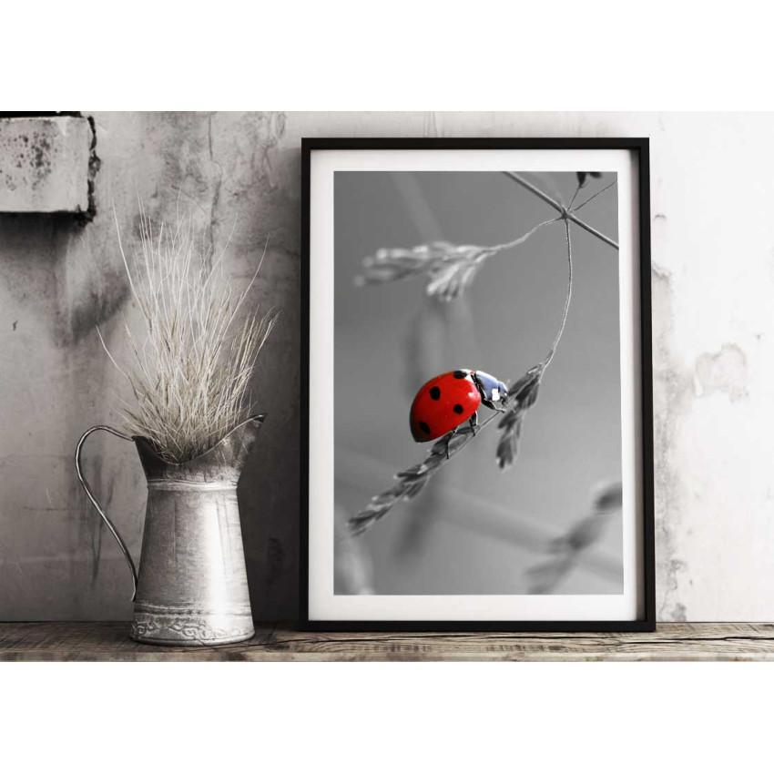 Ladybug - Simple & red poster