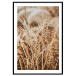 Simple and elegant kitchen poster