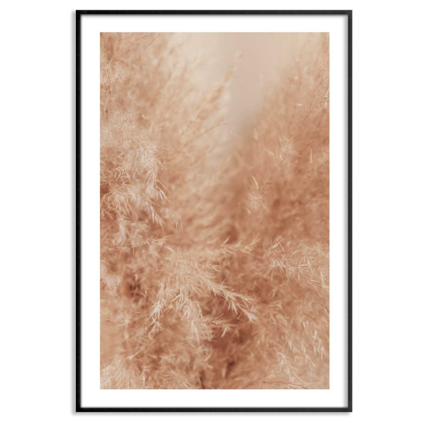 Simple and elegant pampas poster