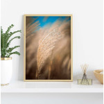 Simple elegant pampas poster