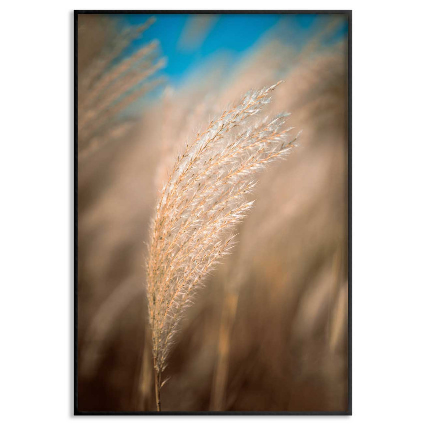 Simple elegant pampas poster
