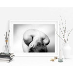 Abstract & naked - Svartvit poster