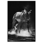 Zebra Running - Poster