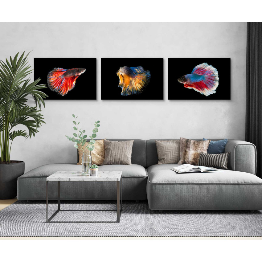 Kampfiskar i Olika Färger - Tredelad Tavla