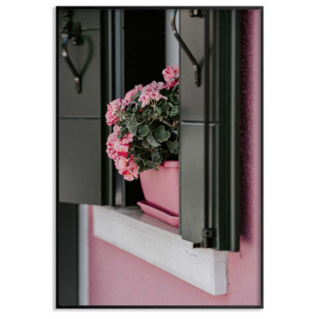 Rosa blomma - Affisch