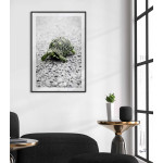 Sk&ouml;ldpadda fotografi - Gr&ouml;n poster