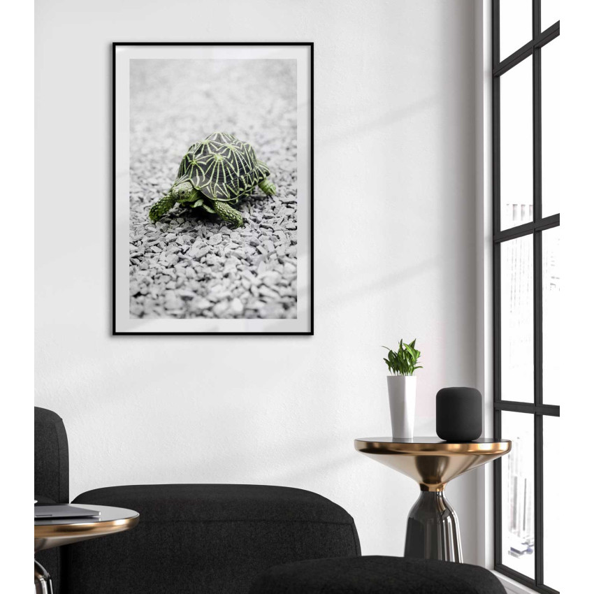 Sk&ouml;ldpadda fotografi - Gr&ouml;n poster