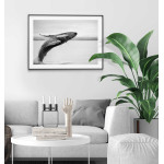 Humpback Whale - Original animal poster