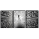 Peacock - Three Piece Poster 