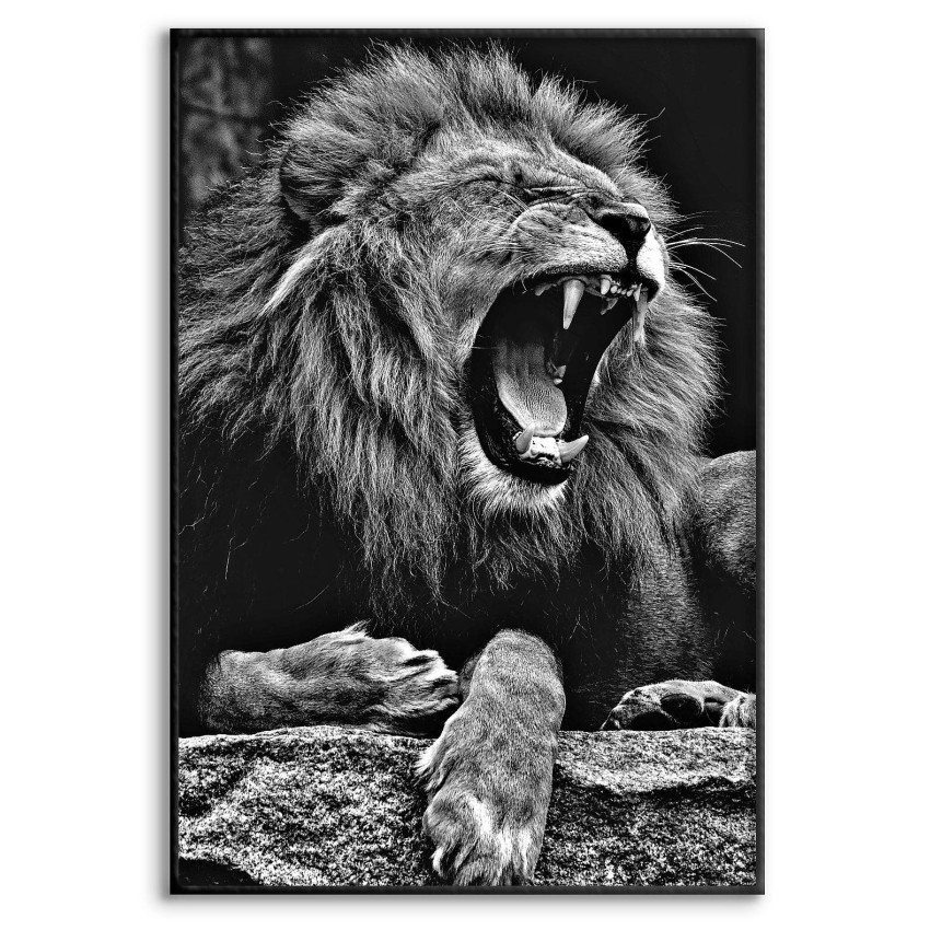 Lion Roar - Poster