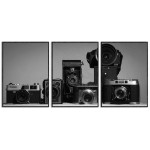 Vintage Cameras - Three Piece Poster