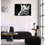 Giraffe - Black and White Poster