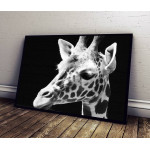 Giraffe - Black and White Poster