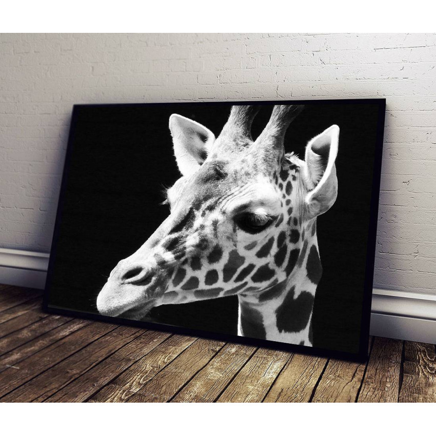 Giraffe - Black and White Poster