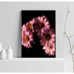 Rosa Blommor & Svart Bakgrund - Poster