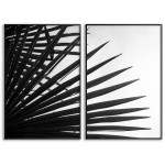 Palm silhuett - Svartvit botanisk poster i två delar