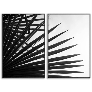 Palm silhuett - Svartvit botanisk poster i två delar
