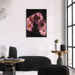 Rosa Blommor & Svart Bakgrund - Poster