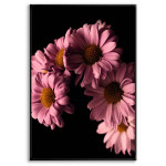 Rosa Blommor & Svart Bakgrund - Poster