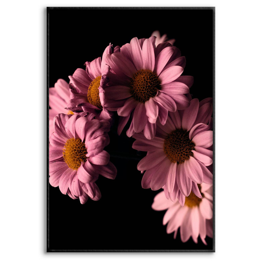 Rosa Blommor & Svart Bakgrund - Poster