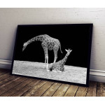 Giraffe - Black and White Poster