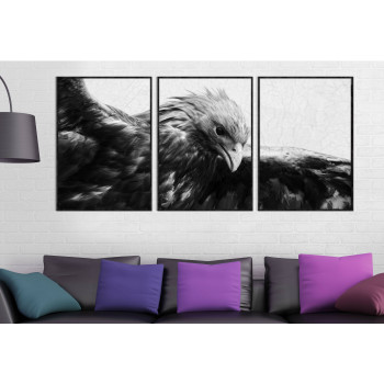 Örn - Bred svartvit tavla i tre delar