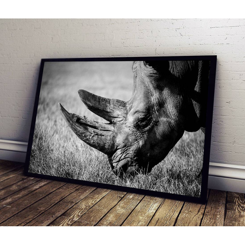 Rhino - Black and White Poster