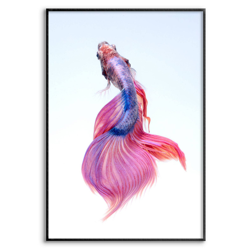 Colorful Fish - Simple Poster