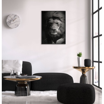 Lion - Black and White Poster