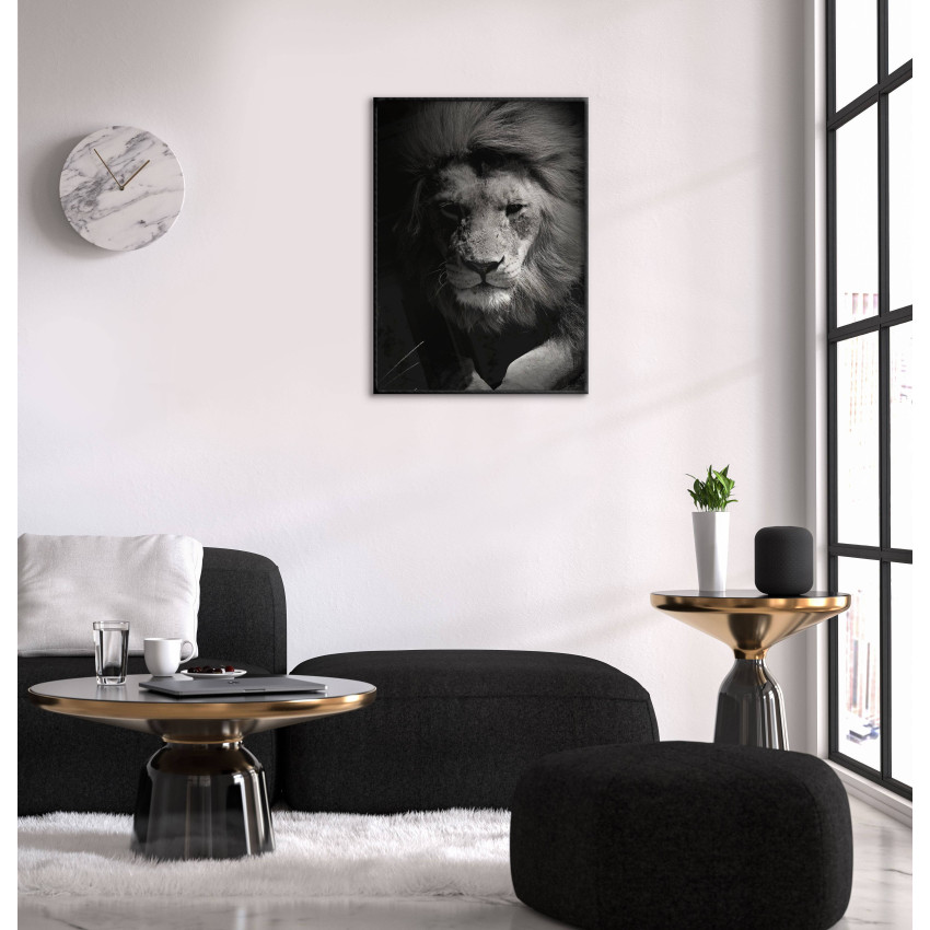 Lion - Black and White Poster