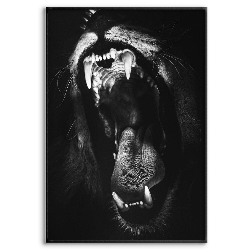 Lejon Ryter - Svartvit Poster 