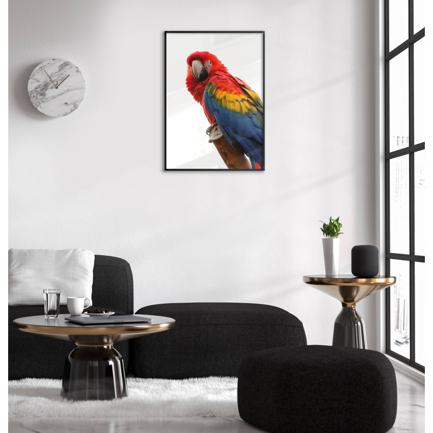 Parrot - Colorful Poster
